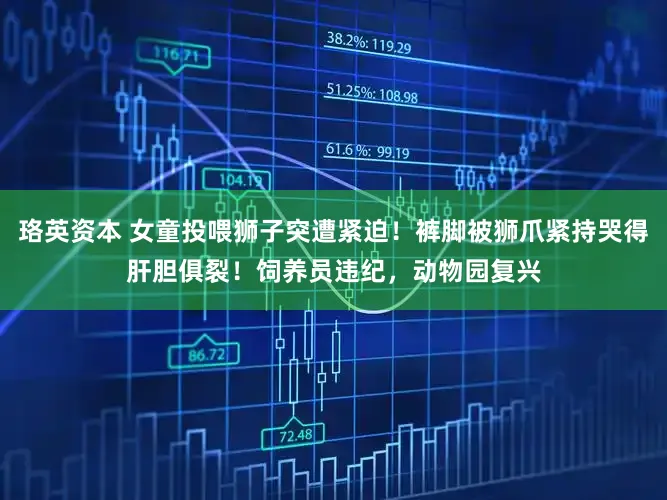 珞英资本 女童投喂狮子突遭紧迫！裤脚被狮爪紧持哭得肝胆俱裂！饲养员违纪，动物园复兴