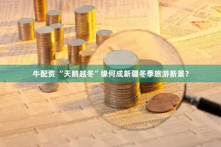 牛配资 “天鹅越冬”缘何成新疆冬季旅游新景？