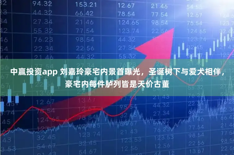 中赢投资app 刘嘉玲豪宅内景首曝光，圣诞树下与爱犬相伴，豪宅内每件胪列皆是天价古董